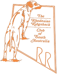Rhodesian Ridgeback Club of SA Champ Show, Oct 25 