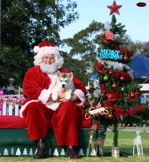 Canine Fanciers KC Shows, Dec 25