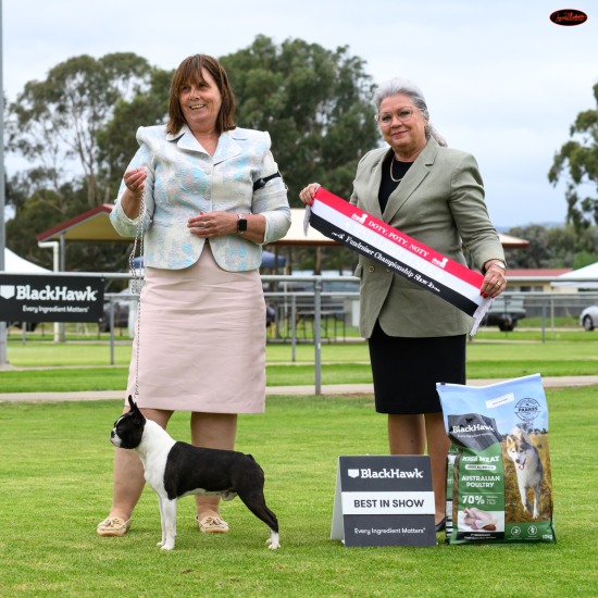 Dogs SA DOTY Fundraiser Shows - Mar 26